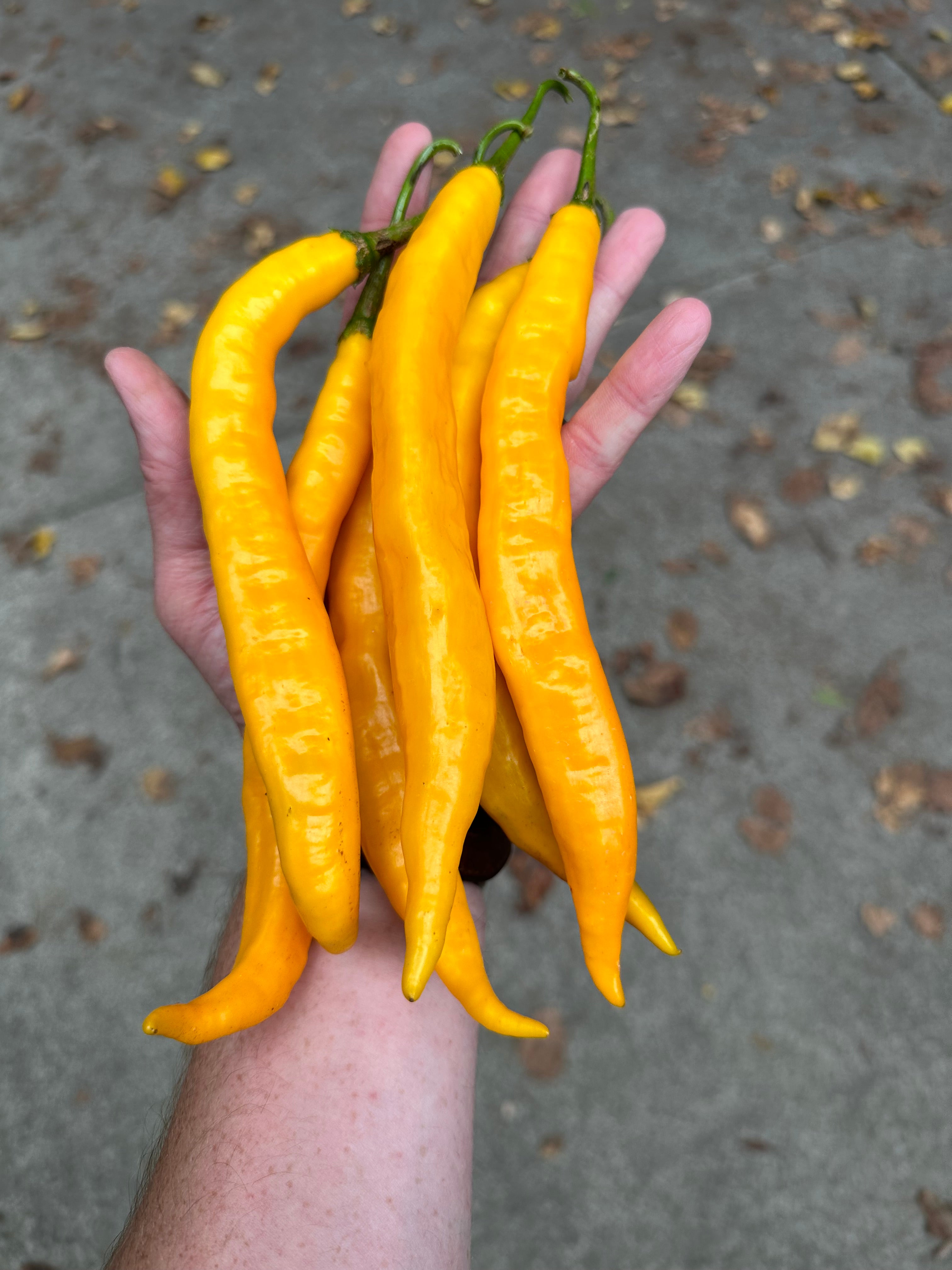 Products – Pepper Ranger
