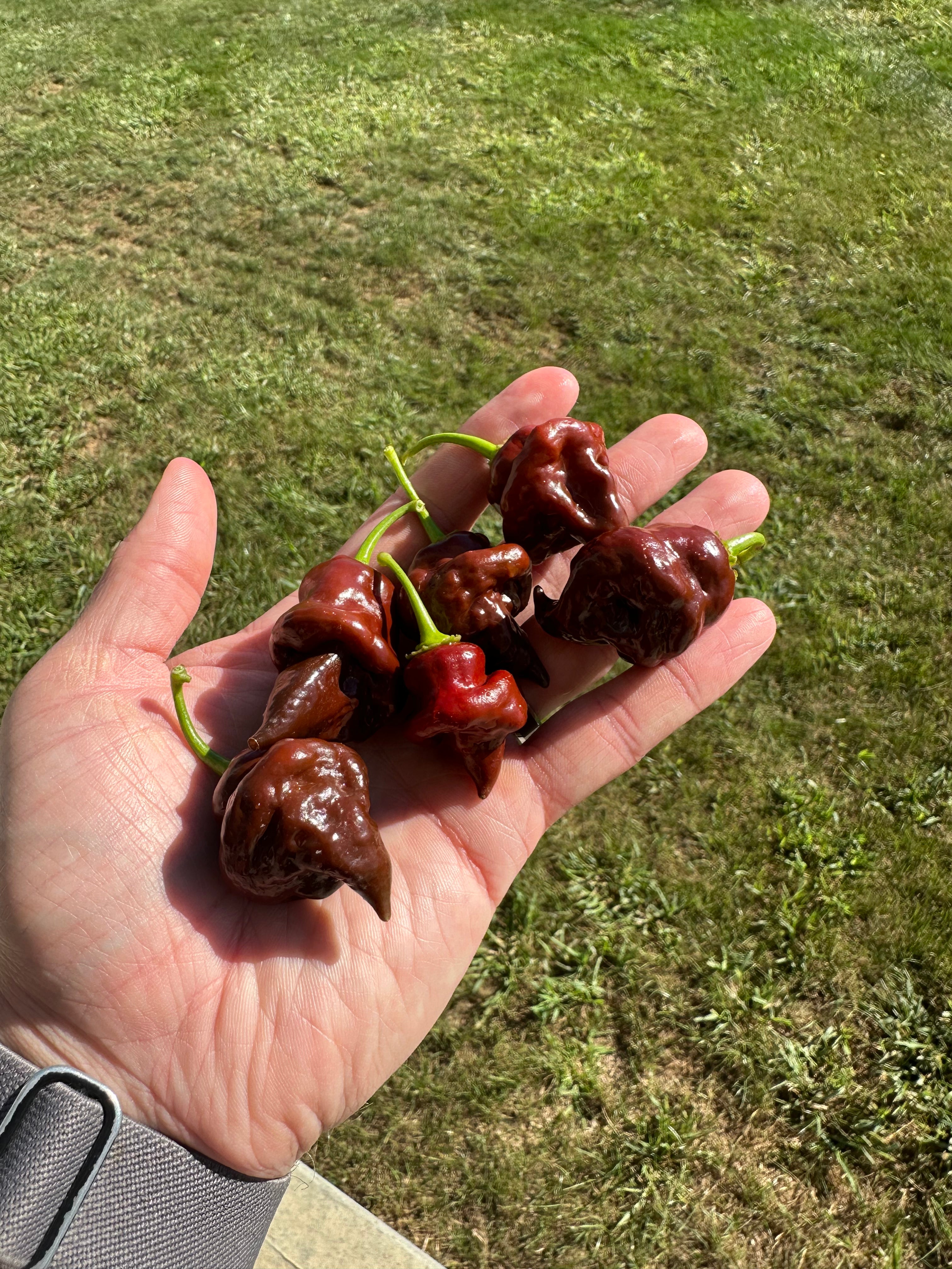 Chocolate Hand Grenade