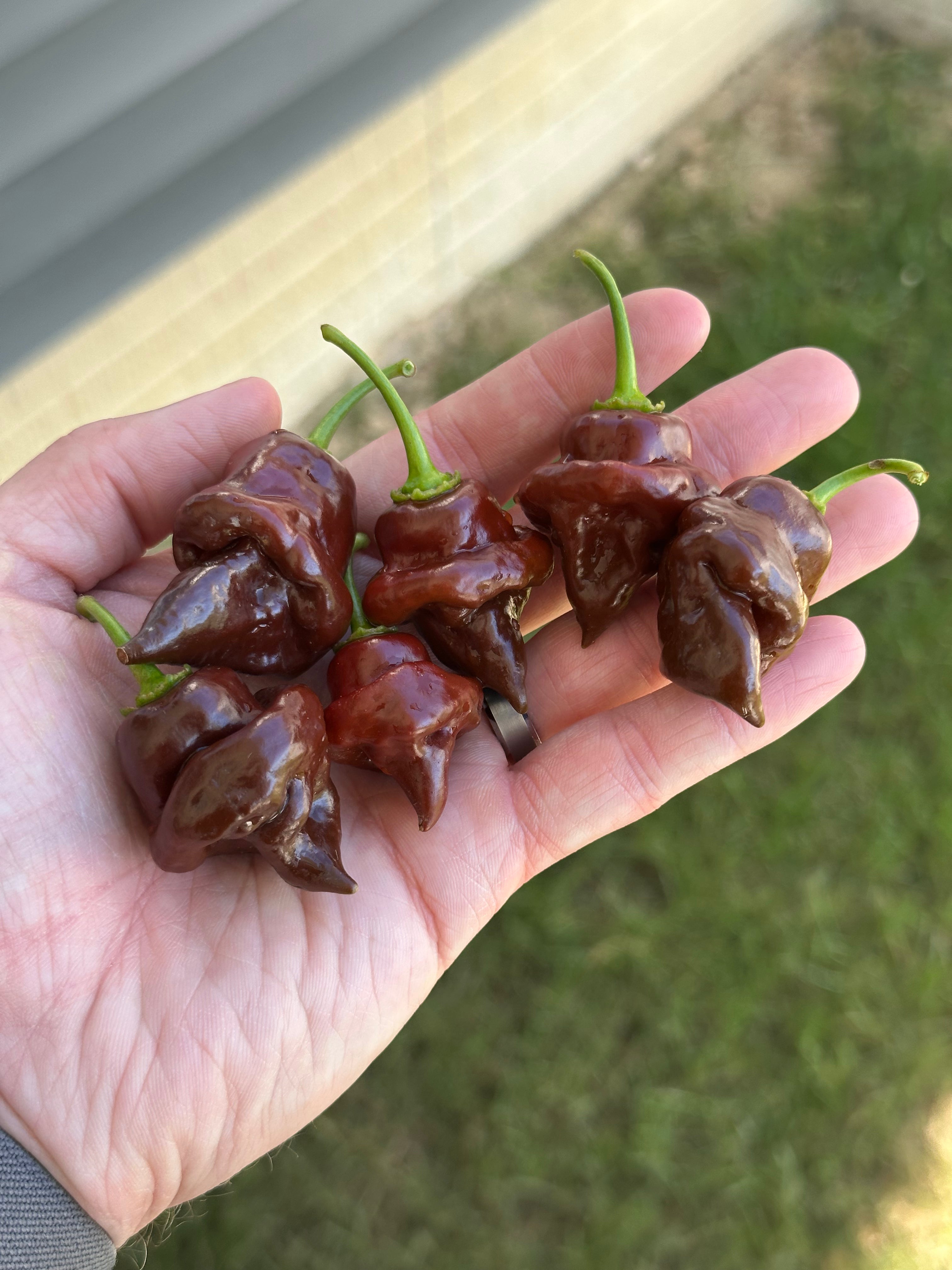 Chocolate Hand Grenade